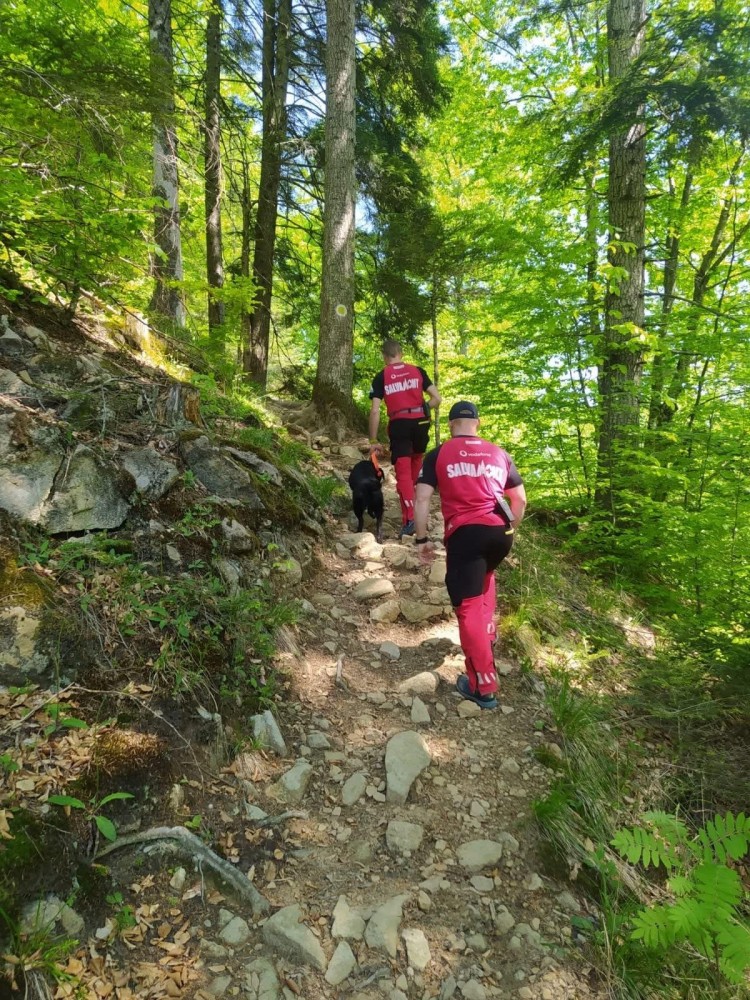 Reorganizări administrative și noi investiții în infrastructură, aprobate de Consiliul Județean Covasna